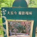 진도 , 변산반도 , 목포 아! 그리운 남도여행
