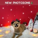 포에버위드유 이미지