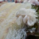 중앙동133 이미지