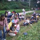 가평곤충농장 이미지