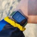 비발디 향기나무 이미지