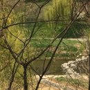 호텔아이시시 이미지