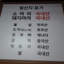 힘센복돼지 이미지