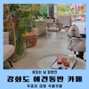 동반 | 강화도 대형카페 두운리 애견동반 후기