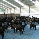 김정호 농장 이미지