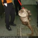 수달 화장실 이미지