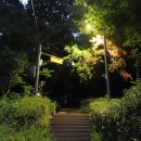 한강을 품은 초록빛 숨은 길, 염창산 그리고 염창동 둘레길 이미지