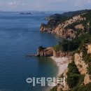 가래칠기 이미지