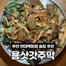 용 | 뭘 시켜도 평타 이상, 부천 중동 술집 <용삿갓> 후기 🍲