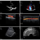 구포동물병원 이미지