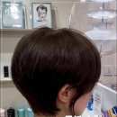 이철헤어커커평촌