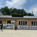 콩가내 이미지