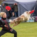 올바른 반려견 보호자 교육 이미지