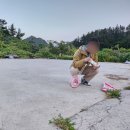 모든힐펜션 | 울릉도펜션 중 부모님 댁 같은 편안함｜울릉힐하우스 숙소 후기