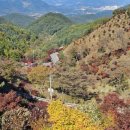 지리산나들이농원 이미지