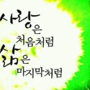 12월.20일.금요일 간추린 뉴스 이미지