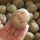 참맛나뼈감자탕 이미지