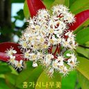 가시나무공원 이미지