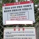 정운공순의비 티스토리