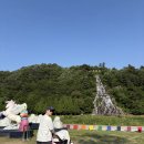 진천군 농다리 | 진천 “농다리“ 6개월 아기와 함께한 자연 속 힐링, 생거진천 농다리 나들이 후기