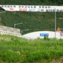 도계상동 네이버블로그