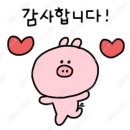 김잠묘 | 마냥 속상할 틈조차 비좁았던
