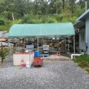 더숲캠핑장 이미지