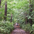 봉화약초민박 이미지