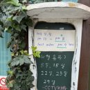 카페갤러리4978 이미지