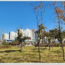 운곡약국 이미지