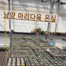 마리다육 이미지