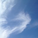 용인운수(주) 이미지