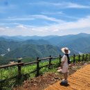 초록초록 민둥산과 돌리네🌿 &#34;여름 민둥산&#34; 후기 (주차,코스,준비물)