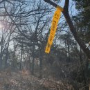 덕솔이네 이미지