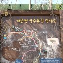 양평 - 산수유정보화마을