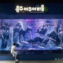 이*만 - 안양시 동안구 | 충주 아쿠아리움 후기｜무료인데 이 정도라고? 충주 가볼만한곳