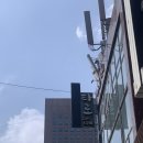 디바 | 종로 이색 데이트 : 타로카페디바 솔직후기