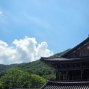 소원빵집 | <구례여행> 화엄사 배롱나무, 목월빵집 솔직후기