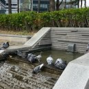 호수대중목욕탕 이미지