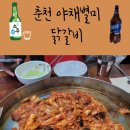 야채별미닭갈비 이미지