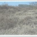 경주시양북면용동보건진료소 이미지