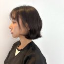 에뜰헤어 | 서울 단발펌 맛집👧🏻✨ 압구정로데오미용실 위에뜰헤어 압구정점 방문 후기