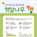 햇살과나무