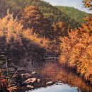 서양화A 이미지