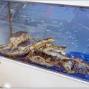 크랩회피쉬 | 서울킹크랩맛집 크랩회피쉬 리얼 후기