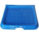 스마일애견 이미지