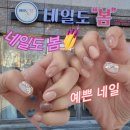 네일도예쁜손