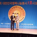 네이처페어리 이미지