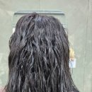 수원-1320 이미지