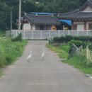 어전농장 이미지